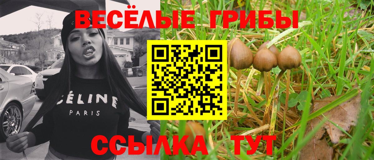 Псилоцибиновые грибы ЛСД Павлово
