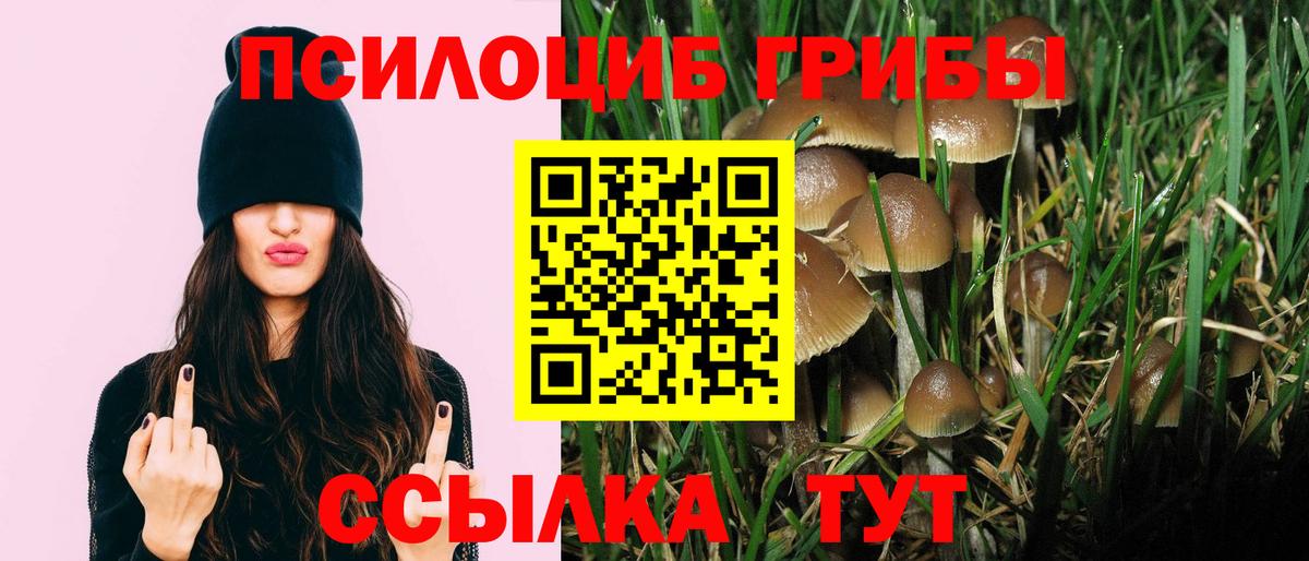 Галлюциногенные грибы прущие грибы  Вход с VPN  Павлово 