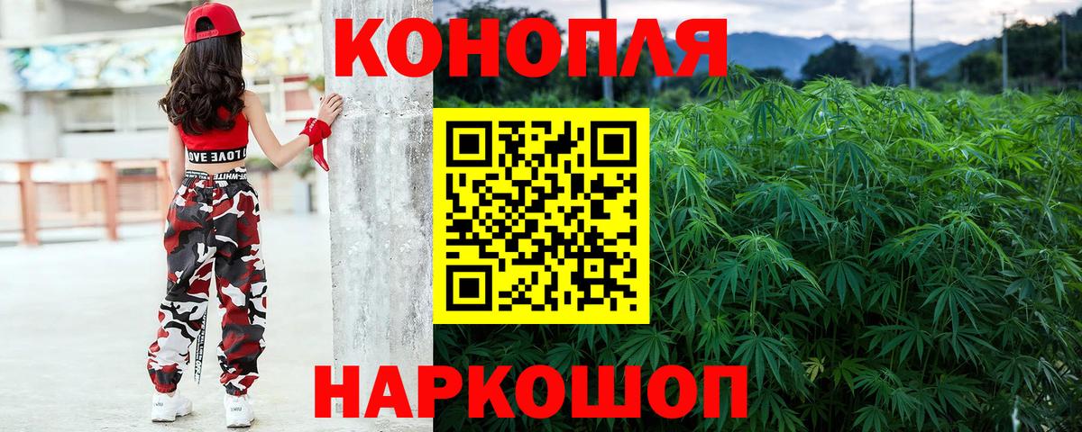 Бошки марихуана OG Kush Павлово